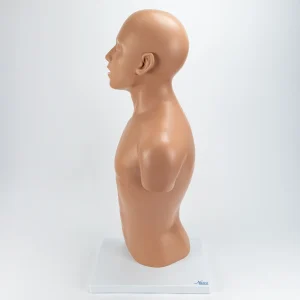 SKU: MG32013  Nasogastric Tube Torso Model