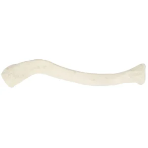 SKU: MG6608  Clavicle Model