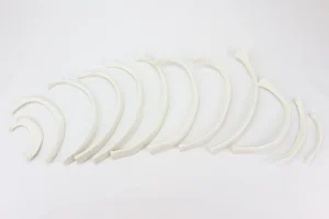 SKU: MG7368  Disarticulated Ribs, Set of 12