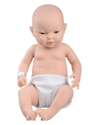 Asian Baby Care Model, female