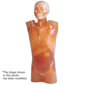 PH-4  CT Torso Phantom CTU-41