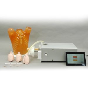 PH-48  Dynamic Heart and Lung Phantom