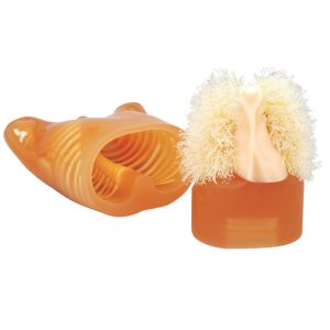 PH-1  Multipurpose Chest Phantom N1 "LUNGMAN"