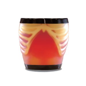 US-1B  Ultrasound Examination Training Phantom"ABDFAN"