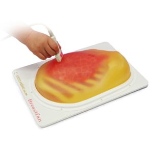 US-6  Breast Ultrasound Examination Phantom "BREAST FAN"