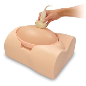 US-7α  Fetus Ultrasound Examination Phantom "SPACE FAN-ST"