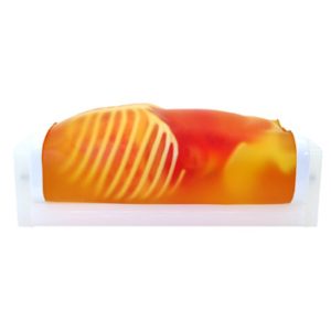 US-8  Pediatric FAST/Acute Abdomen Phantom