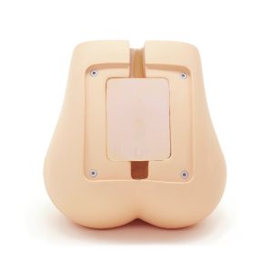 PH-51  Lumbar Spine Fluoroscopy Training Phantom