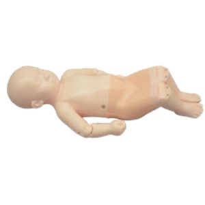 US-13  Infant Hip Sonography Training Phantom