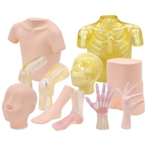 PH-61  Sectional Phantom Series