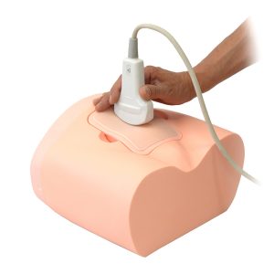 US-16  Intravesical Urine Volume Measurement Phantom