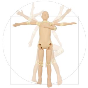 PH-79  X-Ray Training Phantom PBU-POSE