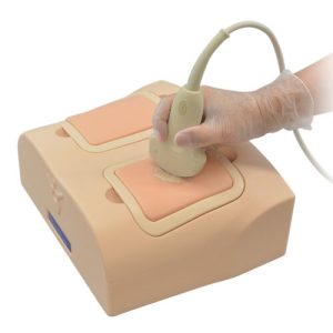 US-19  NEW! Lung Ultrasound Training Phantom ECHOLUNG