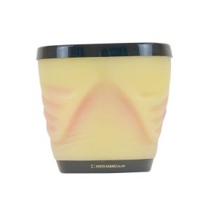 US-22  Dual Modality Human Abdomen Phantom (CT, Ultrasound)