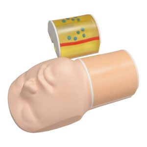 US-25  Thyroid Biopsy Phantom