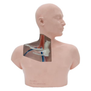 CVC Ultrasound Model (Transparent, Hand pump) MU-E-CVC-MHT