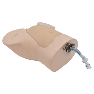 Fetal Blood Sampling (FBS) Ultrasound Model (20 weeks, Hand pump, Skin tone) MU-E-FBS-MHS