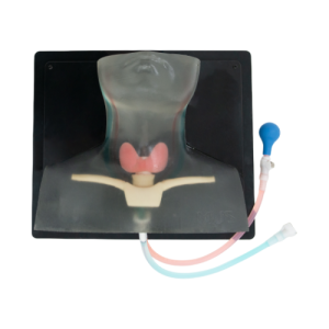 Thyroid Diagnosis Ultrasound Model (Transparent, Hand pump) MU-E-THYROID-MHT