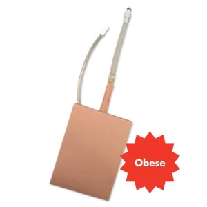 Obese Adult Lumbar Epidural Tissues