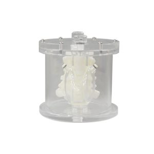 PH-69  Thyroid Phantom UN