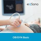 e Sono Gynecological & Obstetric (OB/GYN) basic ultrasound course