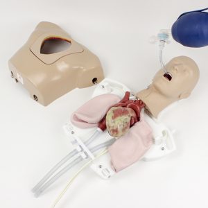 Enhanced ECMO/Perfusion Team Trainer (#1502)