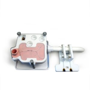 Endoscopic Retrograde Cholangiopancreatography (ERCP) Trainer