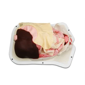 Abdominal Surgery Trainer- AST (#2117)