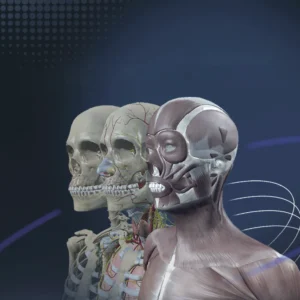 Sym Anatomy Virtual Anatomy Software