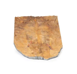 Internal abdominal wall